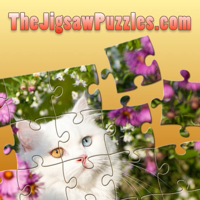 TheJigsawPuzzles.com cover art